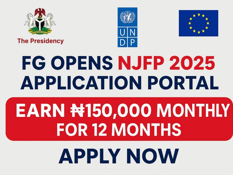 Nigeria Jubilee Fellows Programme (NJFP) 2026 Application Guide